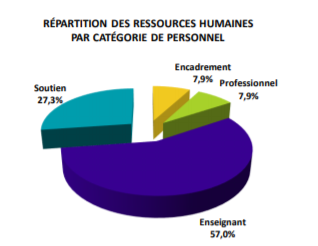 Graphique de la répartition des ressources humaines par catégorie de personnel