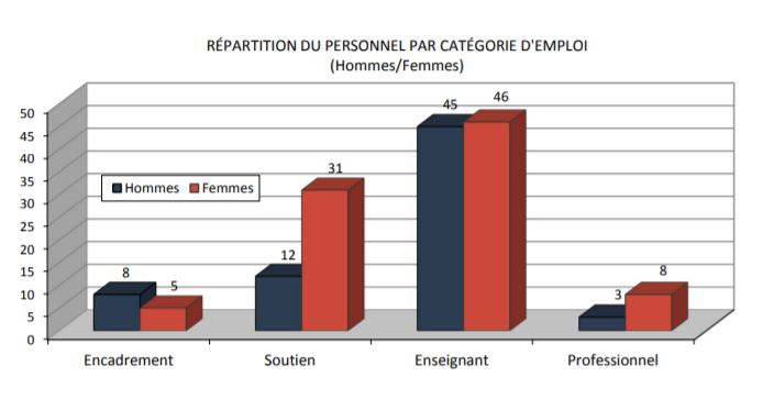 Répartition du personnel par catégorie d'emploi (hommes/femmes)