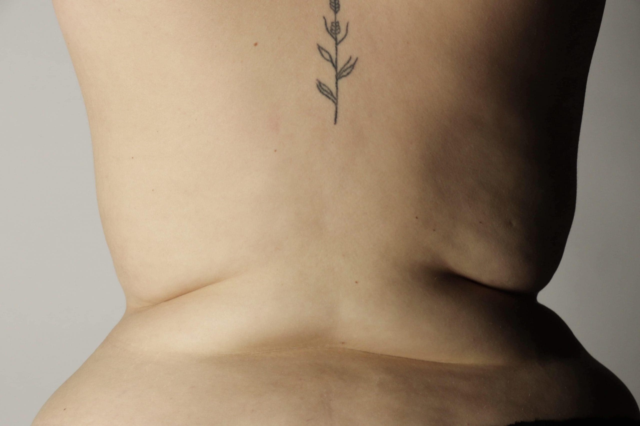 Gros plan sur le bas du dos d'une personne, avec au centre, juste au-dessus de la taille, un tatouage au trait noir représentant une tige de fleur et des feuilles.