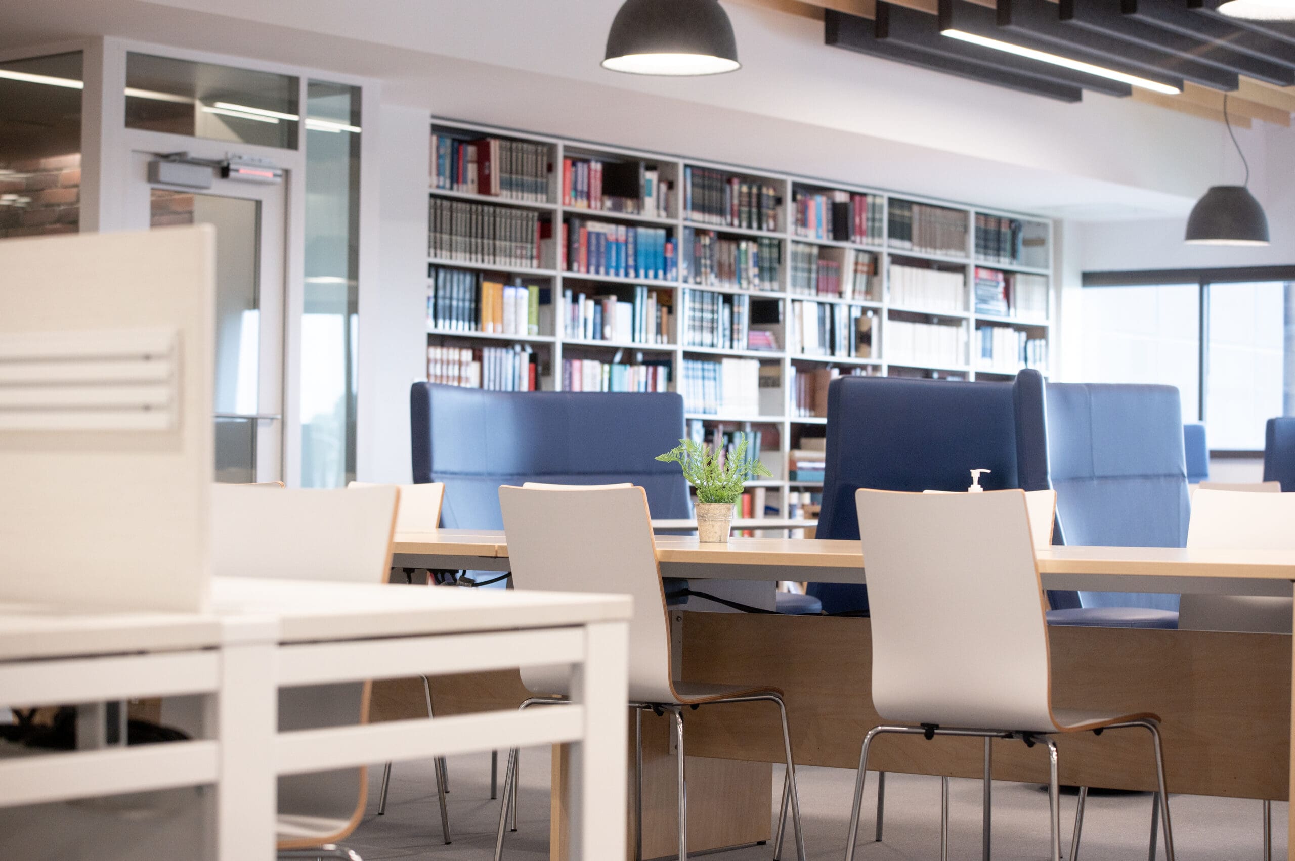 Intérieur de bibliothèque moderne avec, en arrière-plan, des tables, des chaises et des étagères blanches remplies de livres. Une petite plante en pot trône sur la table, et de grandes fenêtres laissent entrer la lumière naturelle. L'espace dégage une impression de propreté et de calme.