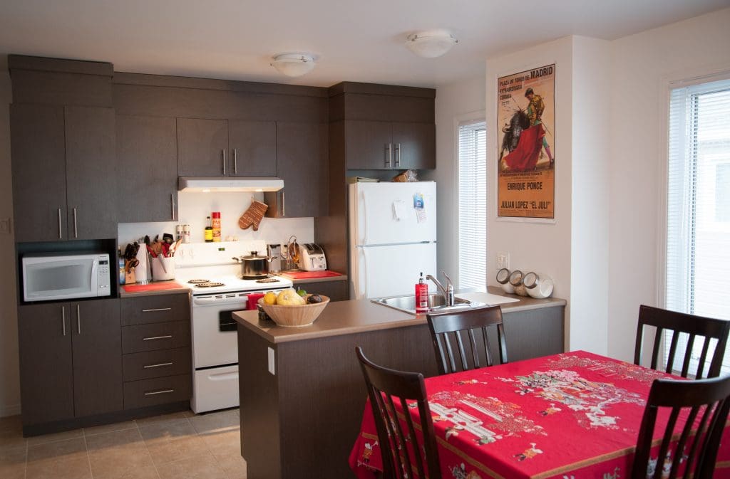Cuisine moderne avec des placards foncés, un réfrigérateur blanc, une cuisinière, un micro-ondes et divers ustensiles. Au premier plan, une table recouverte d'une nappe rouge et entourée de quatre chaises. Une affiche vintage est accrochée au mur. Lumière naturelle provenant des fenêtres.