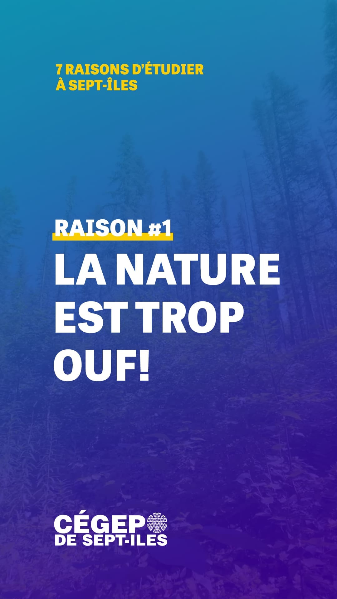 Infographie avec un arrière-plan représentant une forêt aux couleurs estompées. Le texte indique : « 7 raisons d’étudier à Sept-Îles. Raison n° 1 : La nature, c’est trop génial ! Cégep de Sept-Îles. ».