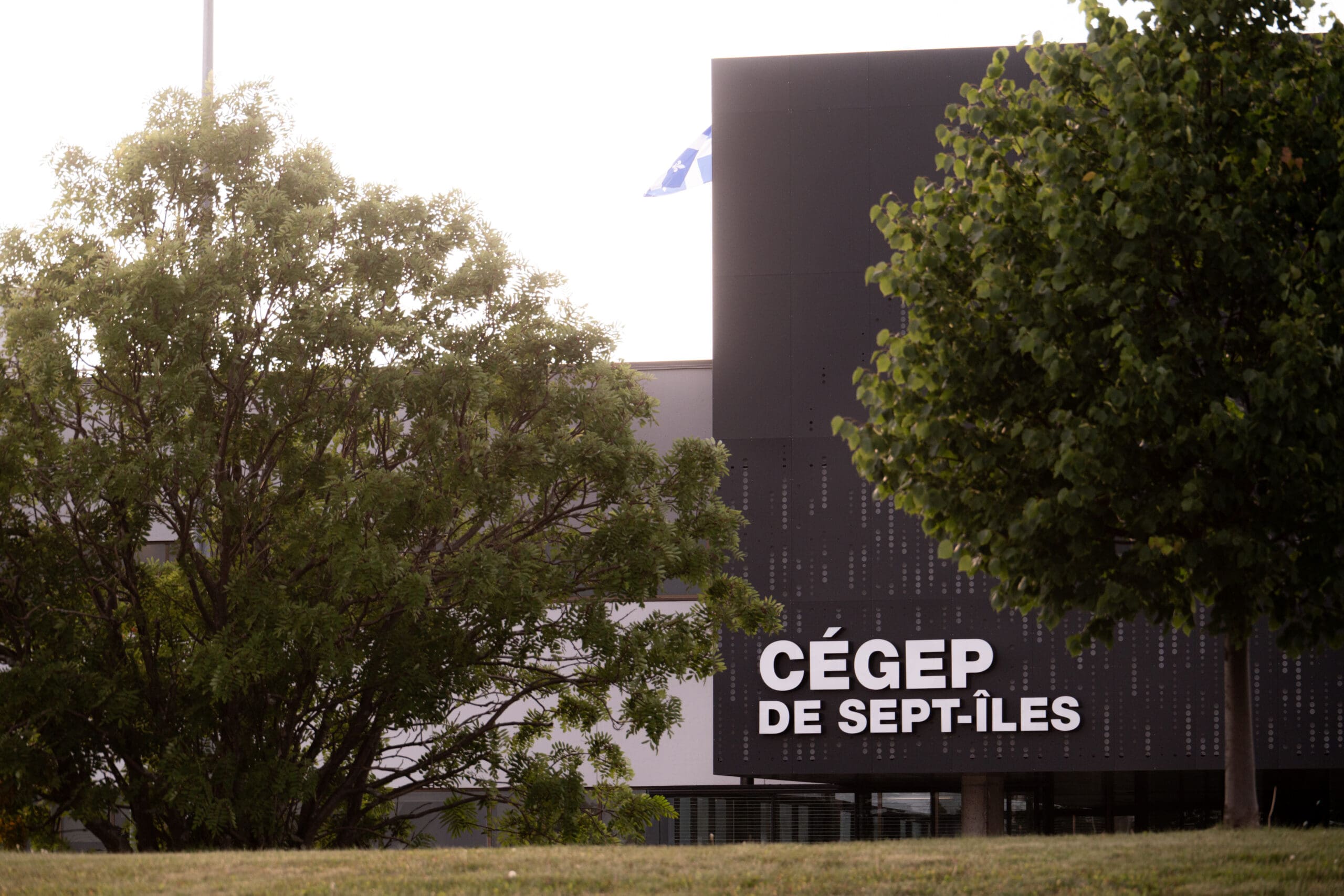 L'extérieur du Cégep de Sept-Îles, avec un grand arbre devant et l'enseigne du bâtiment bien visible, sous un ciel partiellement nuageux.