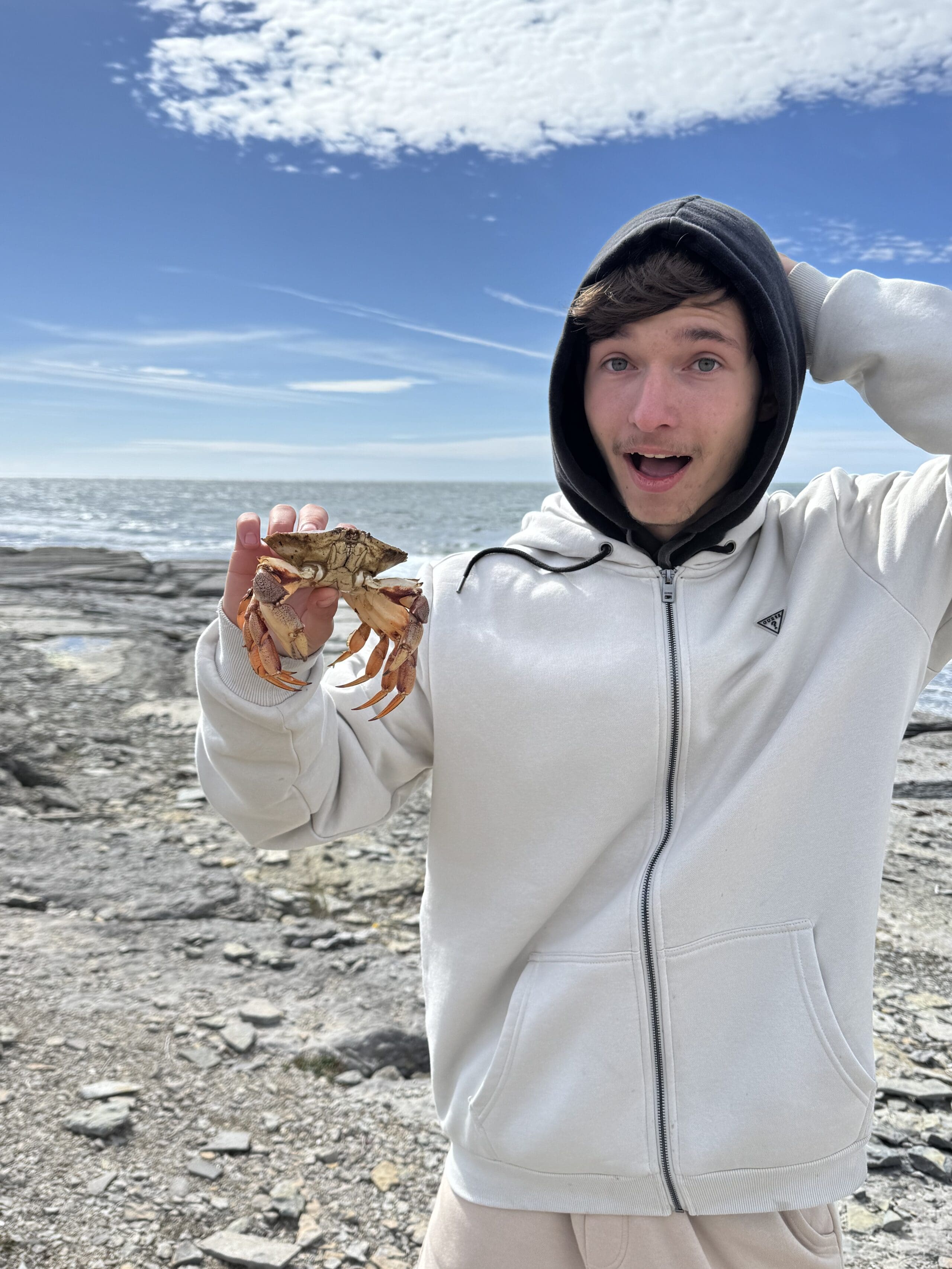 Une personne vêtue d'un sweat à capuche blanc se tient debout sur une plage rocheuse, tenant un gros crabe d'une main et affichant un air surpris. On aperçoit l'océan et un ciel partiellement nuageux en arrière-plan.